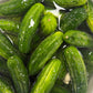 Garlic Dill Pickles: Crispy, Crunchy & Garlicky (#1 Seller!)
