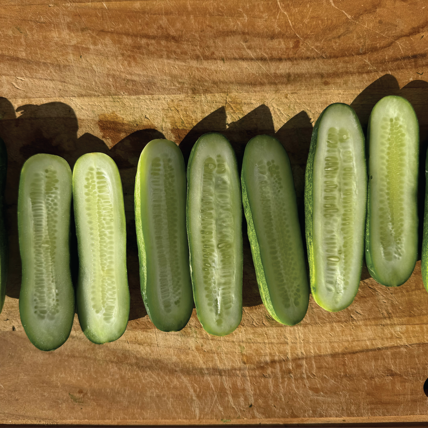 Wholesale - 5 gallon bucket