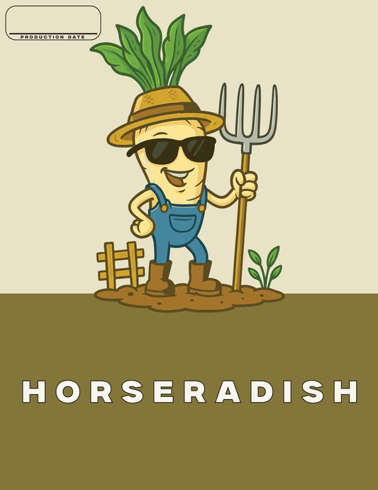 Horseradish - Pickles