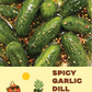 Spicy Garlic Dill Pickles: Hot, fragrant and garlicy!
